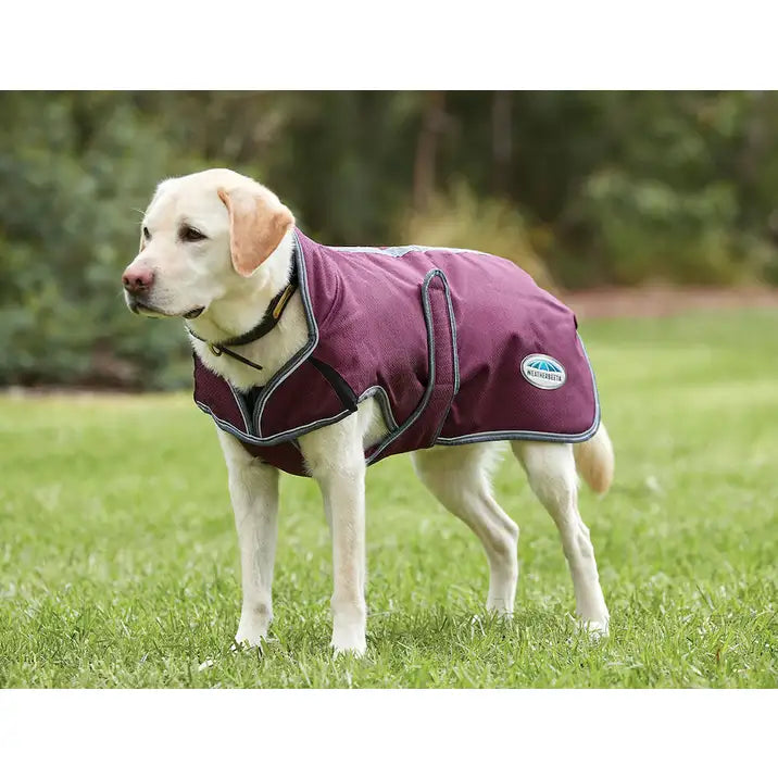 Weatherbeeta ComFitec Premier Free Parka Deluxe Dog Coat - Maroon