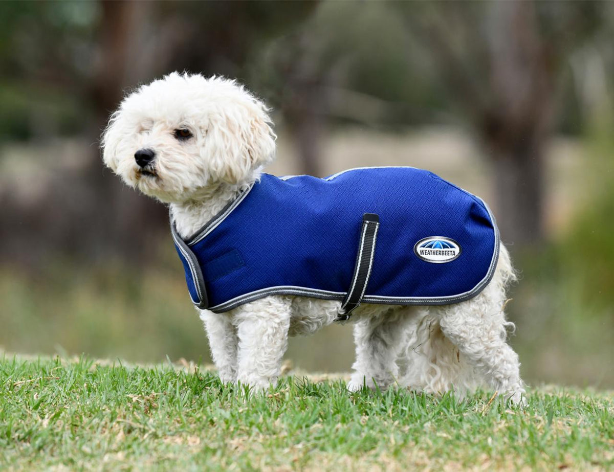 Weatherbeeta ComFiTec Premier Free Parka Dog Coat - 2
