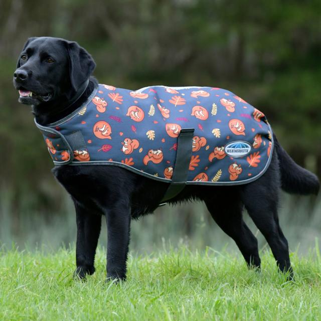 Weatherbeeta ComFiTec Premier Free Parka Dog Coat - 4