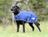 Weatherbeeta ComFiTec Premier Free Parka Dog Coat