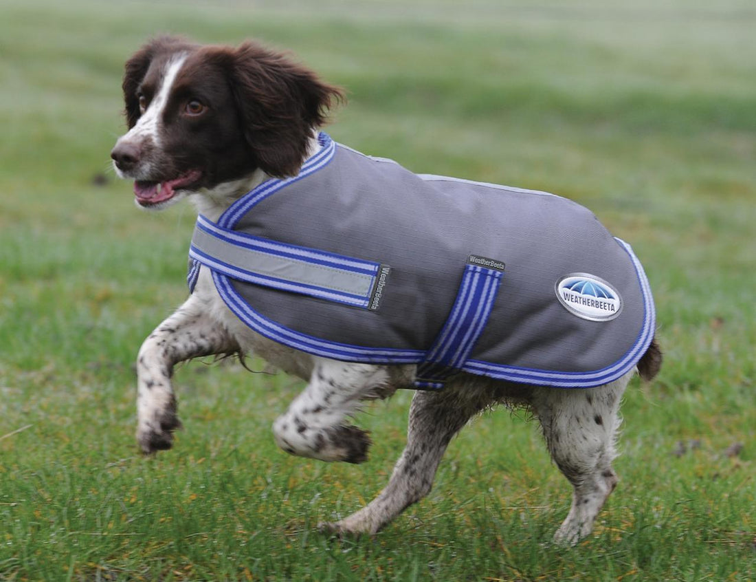 Weatherbeeta ComFiTec Thermi-Heat Dog Coat - 2