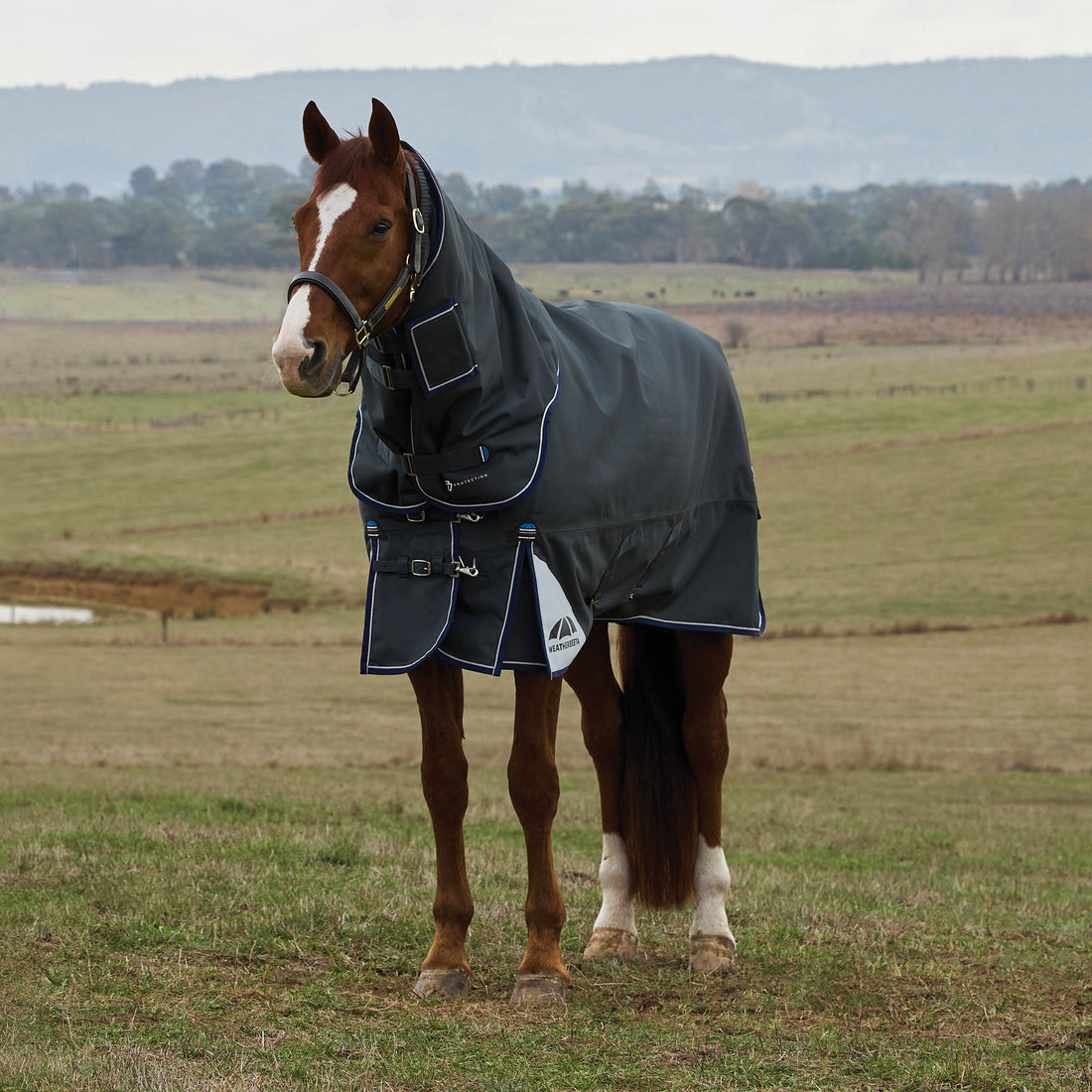 Weatherbeeta ComFiTec Ultra Turnout Detach-A-Neck - Charcoal