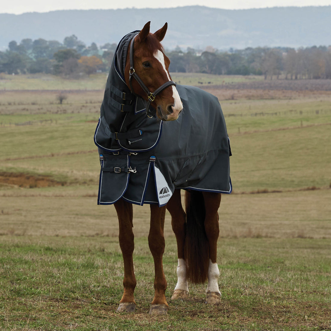 Weatherbeeta ComFiTec Ultra Turnout Detach-A-Neck - Charcoal Lifestyle