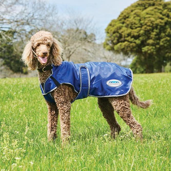 Weatherbeeta ComFiTec Windbreaker Free Deluxe Dog Coat - 2