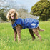 Weatherbeeta ComFiTec Windbreaker Free Deluxe Dog Coat - 2