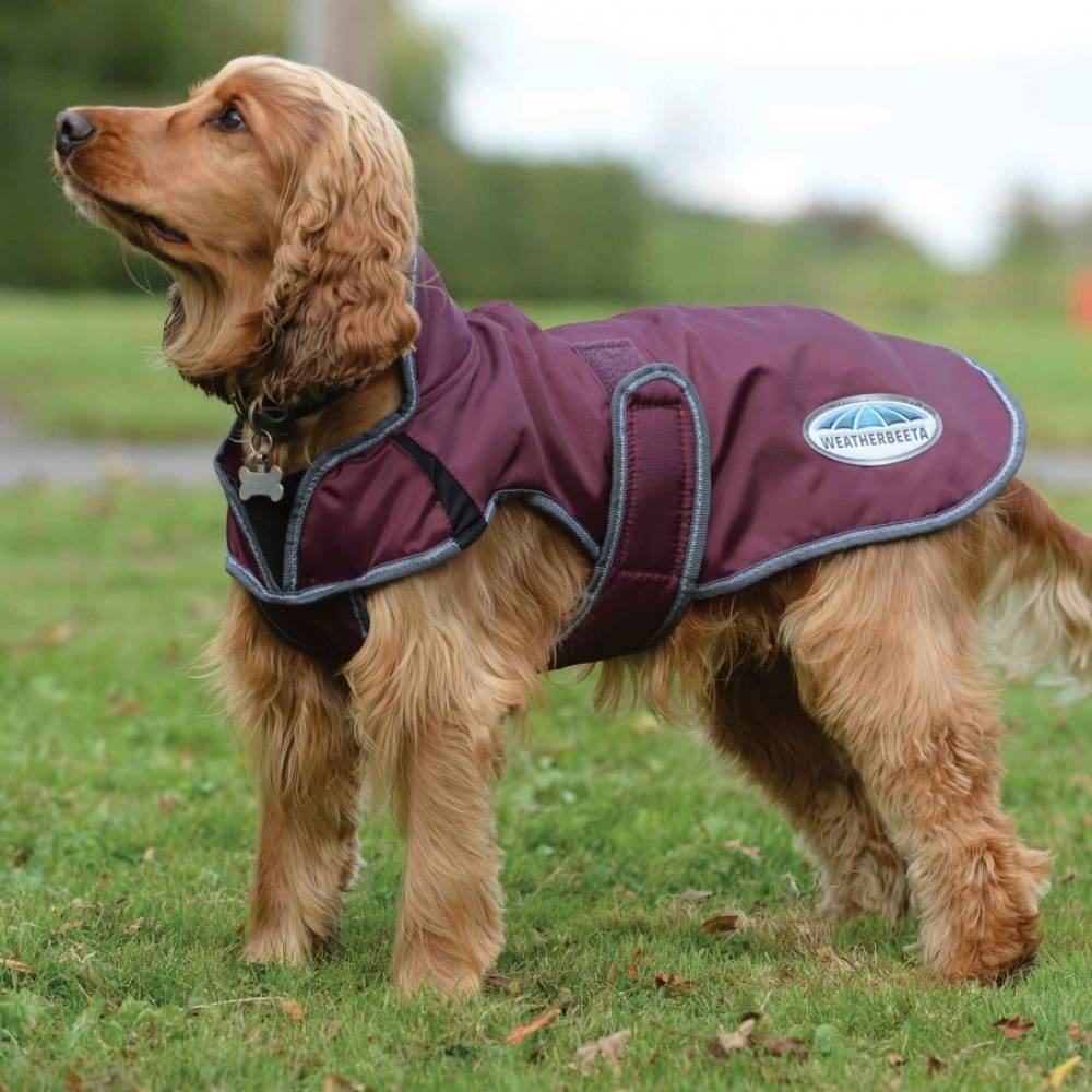 Weatherbeeta ComFiTec Windbreaker Free Deluxe Dog Coat - 3