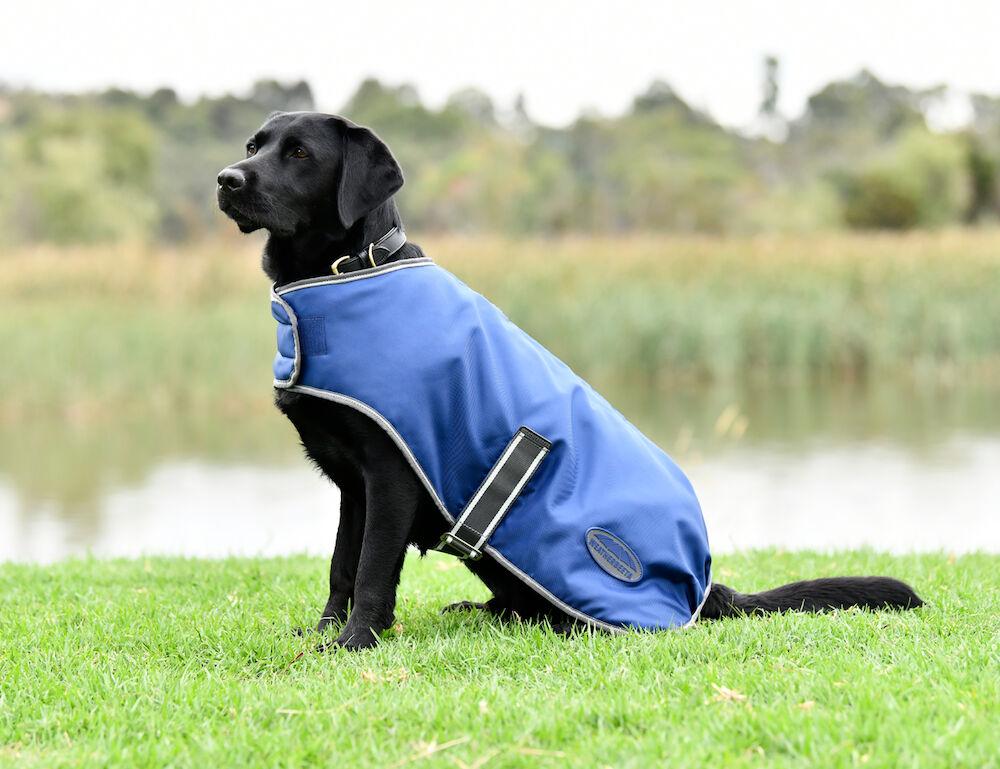 Weatherbeeta ComFiTec Windbreaker Free Dog Coat - 2