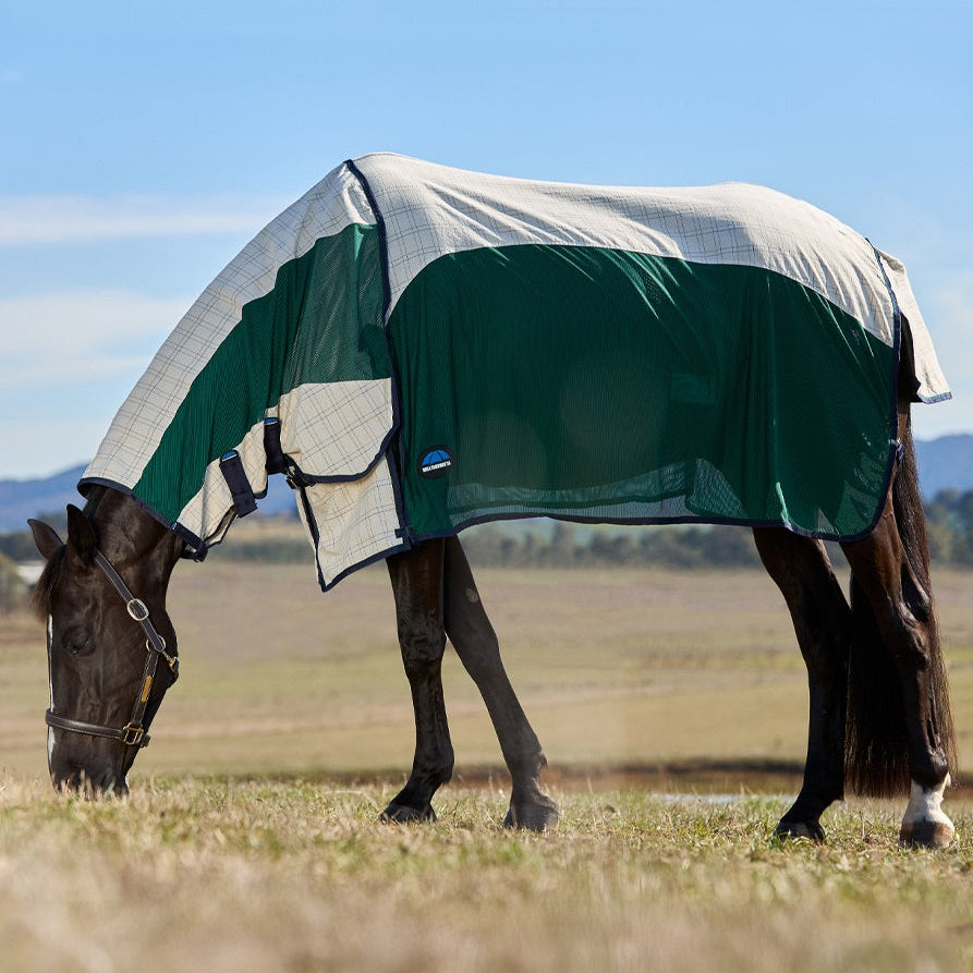 Weatherbeeta Cotton Airstream Combo - Grazing