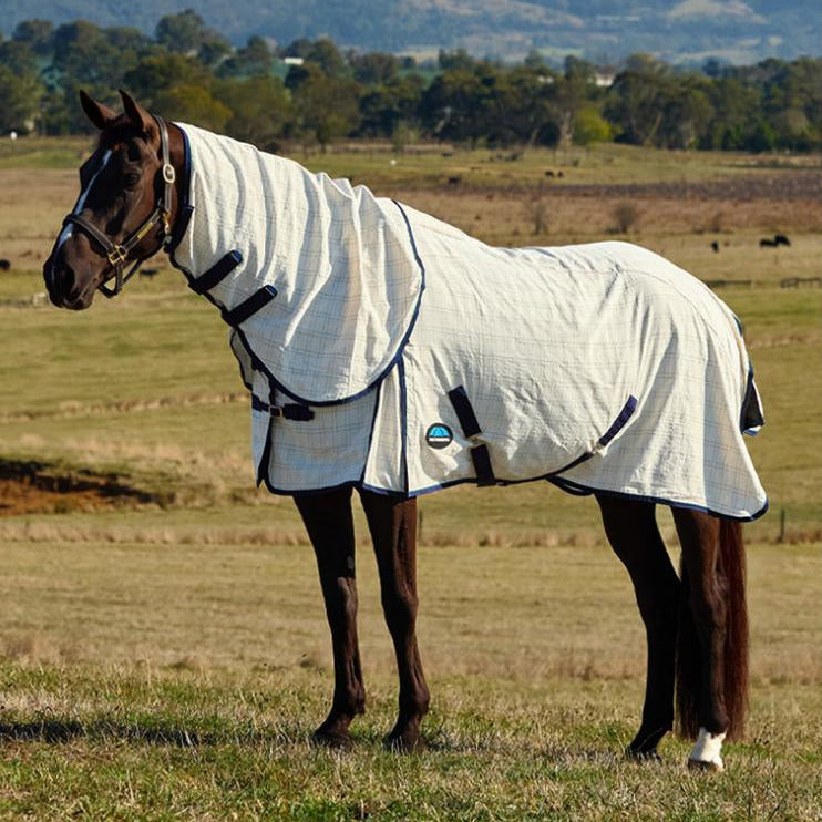 Weatherbeeta Cotton Summer Sheet Lite Combo