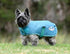 Weatherbeeta Green-Tec 1200D Parka Dog Coat - 3