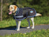 Weatherbeeta Parka 1680D Dog Coat - 2
