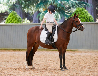Weatherbeeta Prime Competitor Dressage Saddle Pad - White Lifestyle