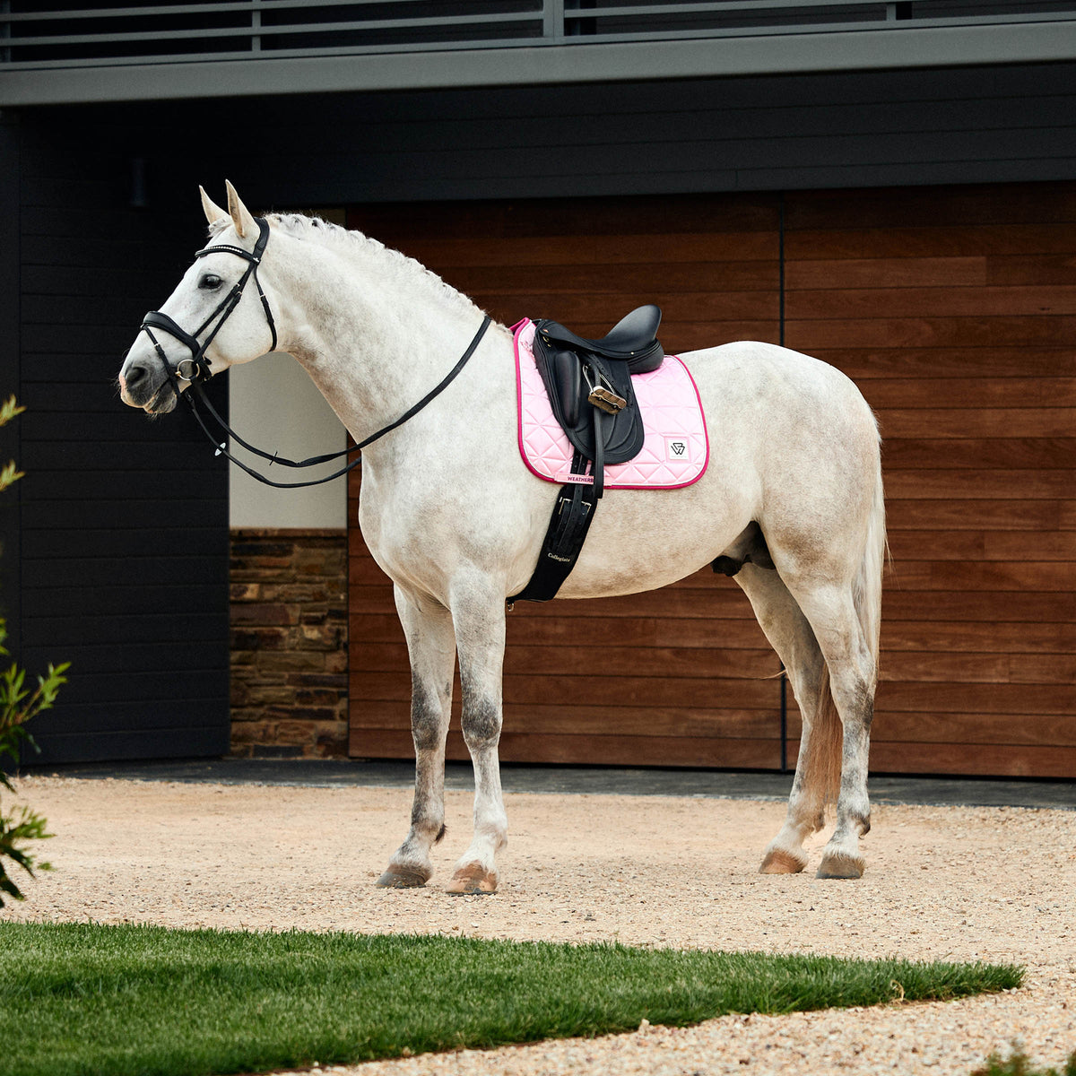 Weatherbeeta Satin Luxe Air-Tec Dressage Saddle Saddle Pad - 2