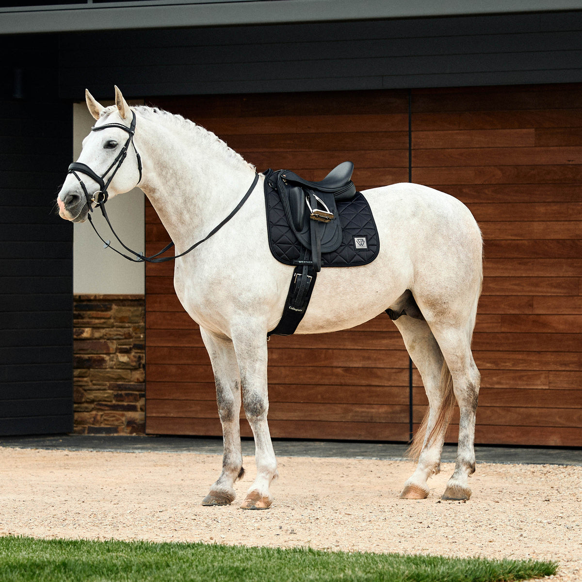 Weatherbeeta Satin Luxe Air-Tec Dressage Saddle Saddle Pad - 3
