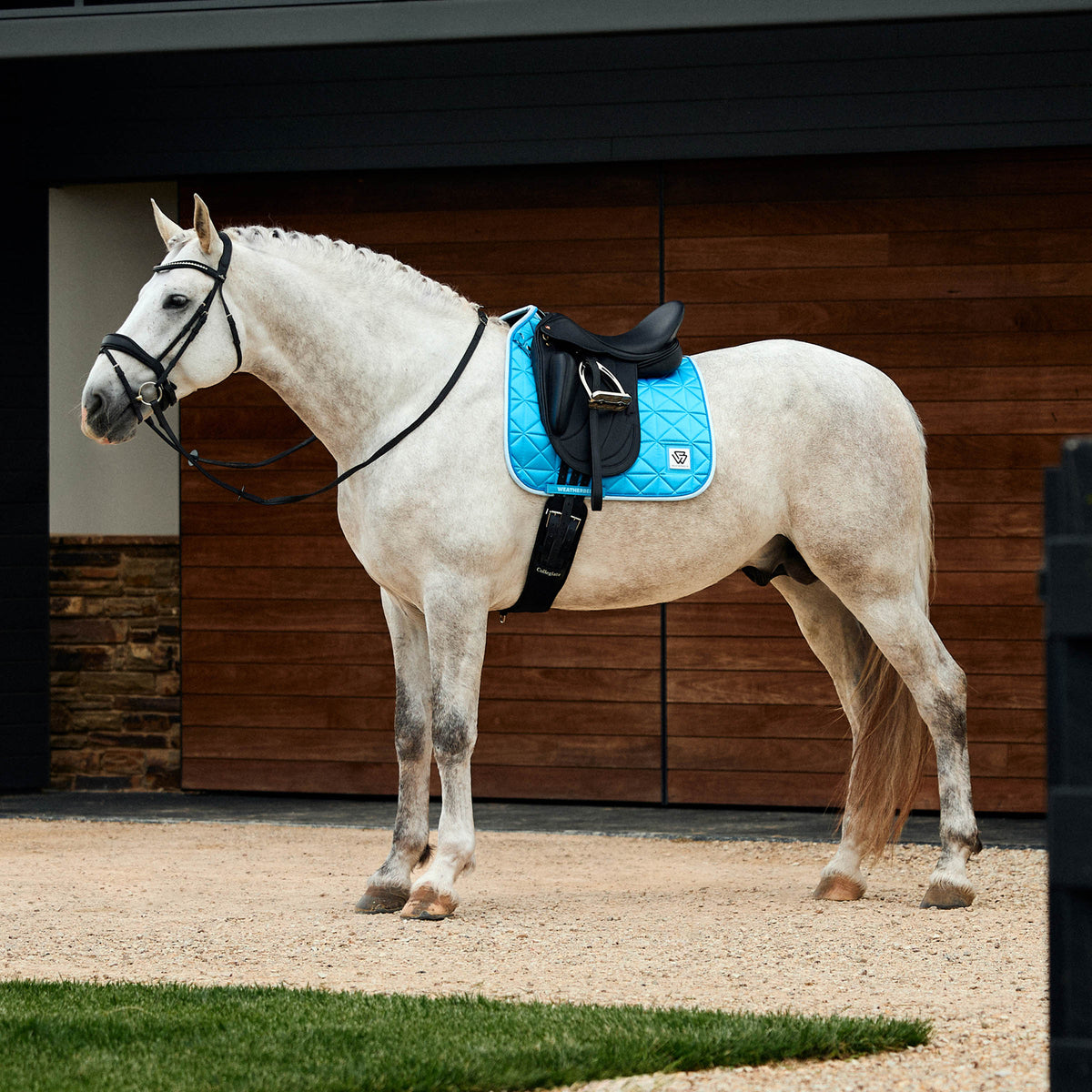Weatherbeeta Satin Luxe Air-Tec Dressage Saddle Saddle Pad - 4
