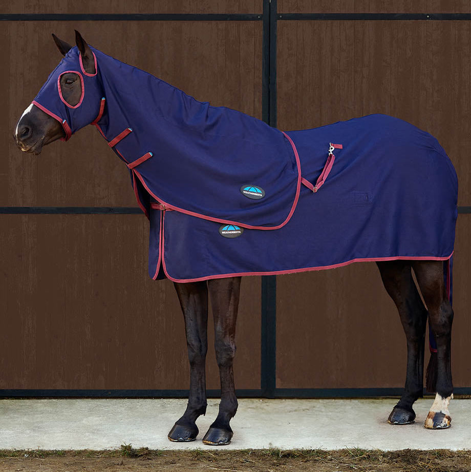Weatherbeeta Show Sheet Hood - Navy/Burgundy detail 2