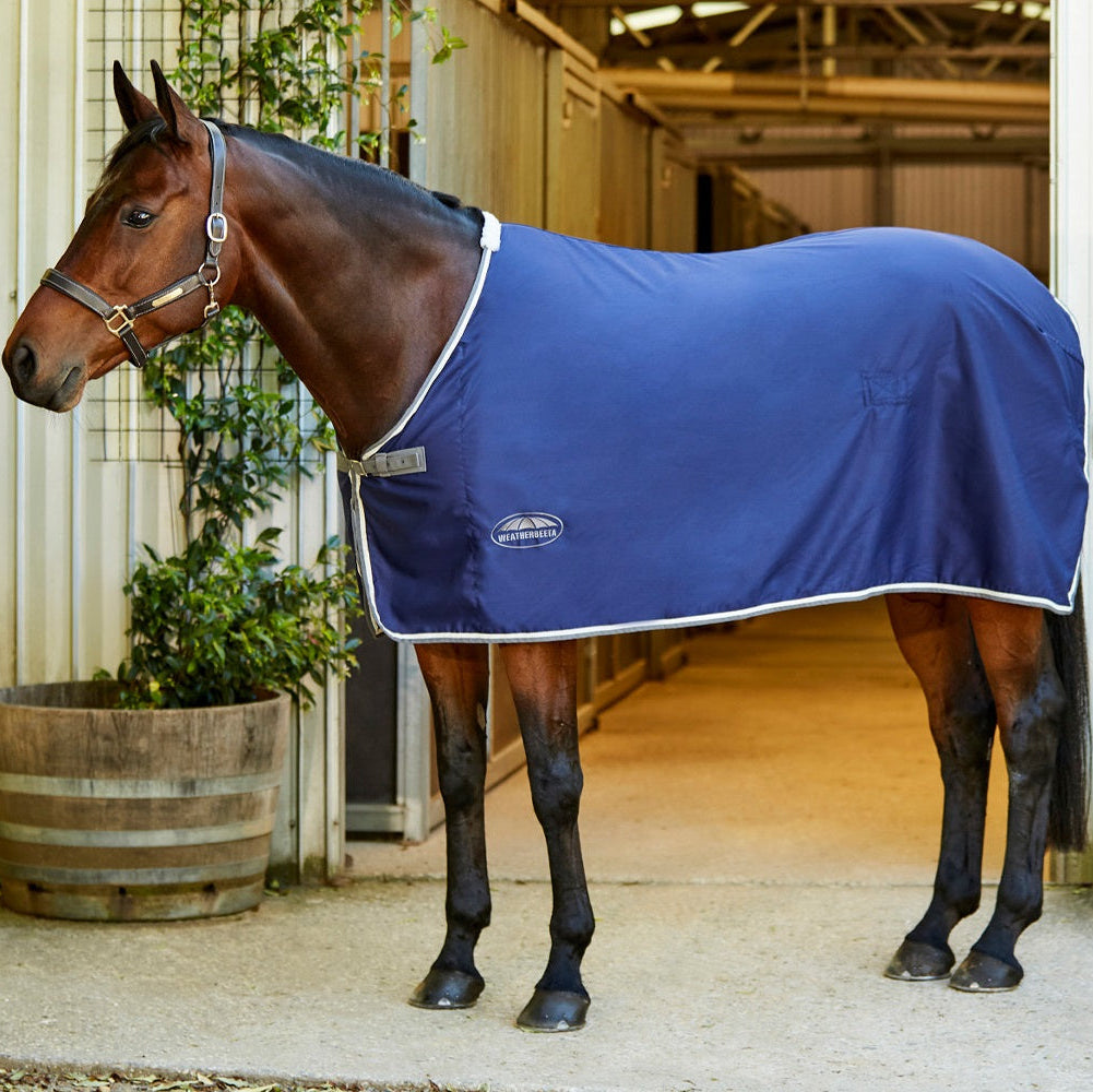 Weatherbeeta Show Sheet Standard Neck - Navy Grey Hero