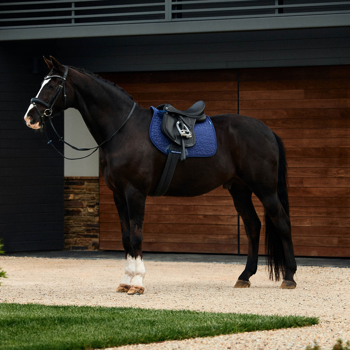 Weatherbeeta Suede Elite Air-Tec All Purpose Saddle Pad - 2