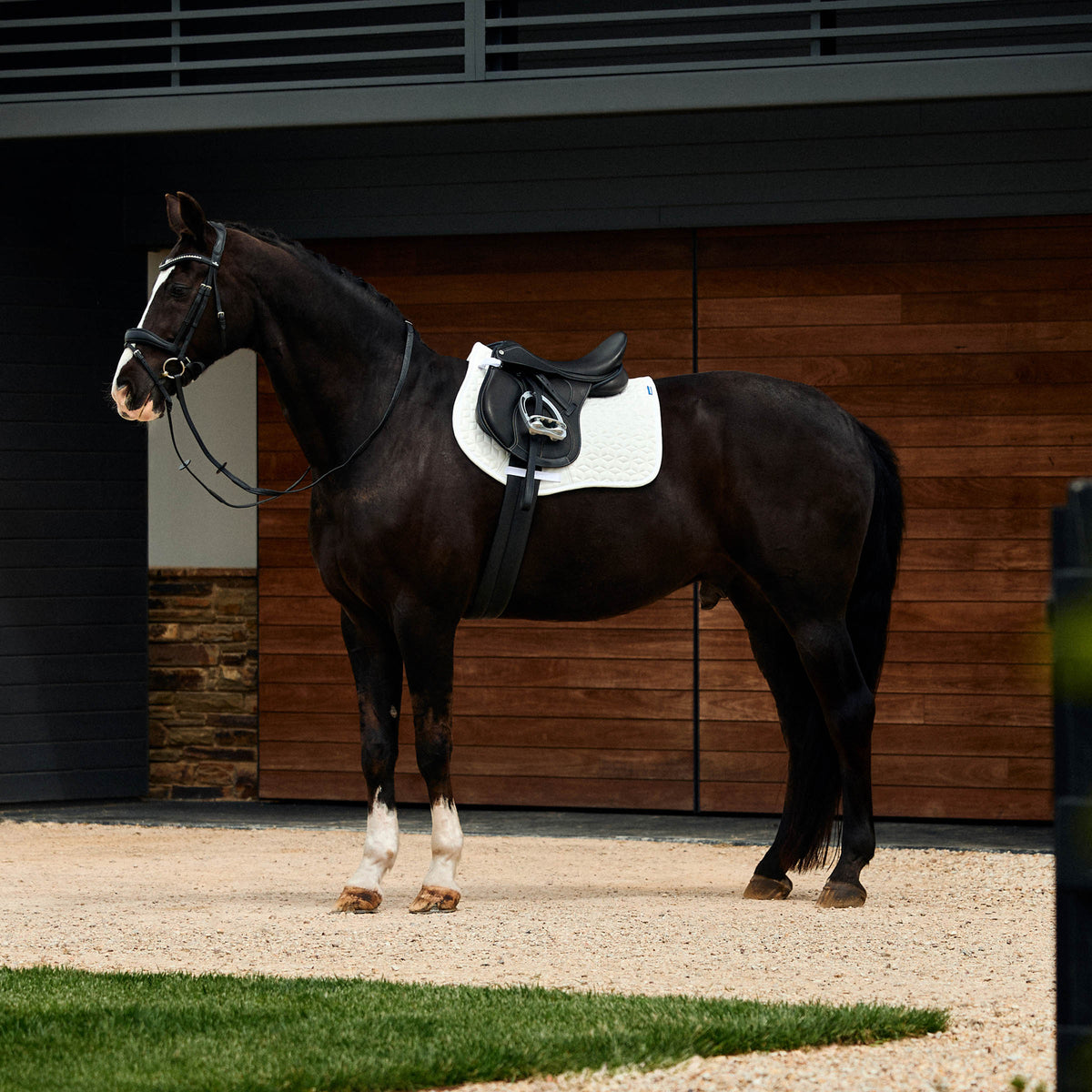 Weatherbeeta Suede Elite Air-Tec All Purpose Saddle Pad - 3