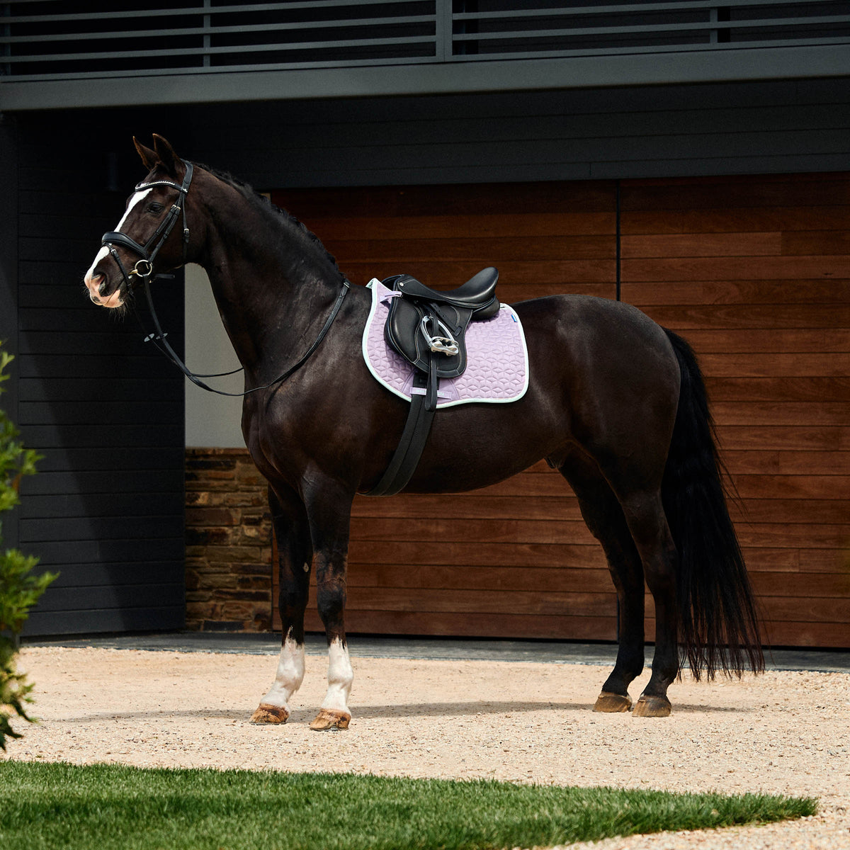 Weatherbeeta Suede Elite Air-Tec All Purpose Saddle Pad - 4