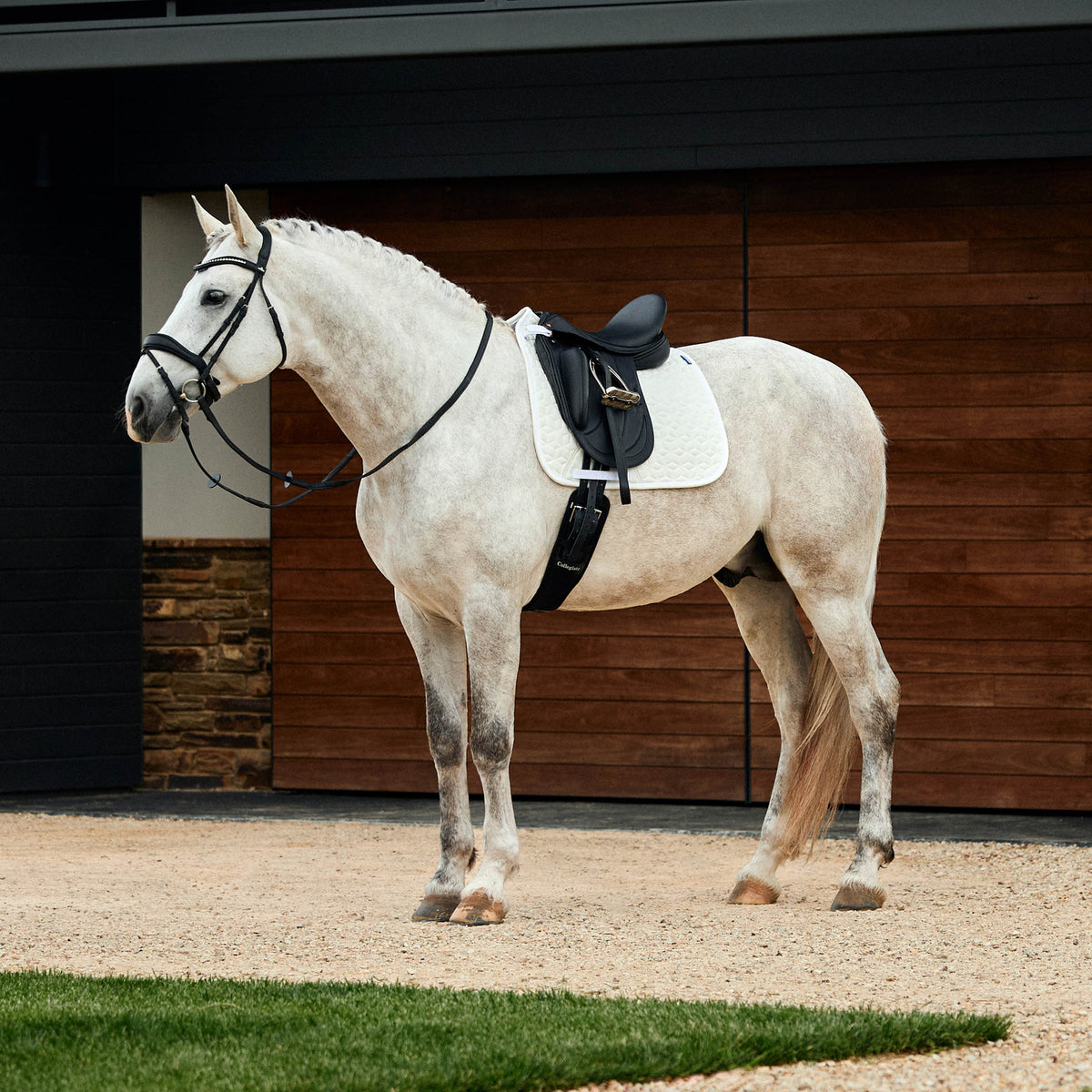 Weatherbeeta Suede Elite Air-Tec Dressage Saddle Pad - 2