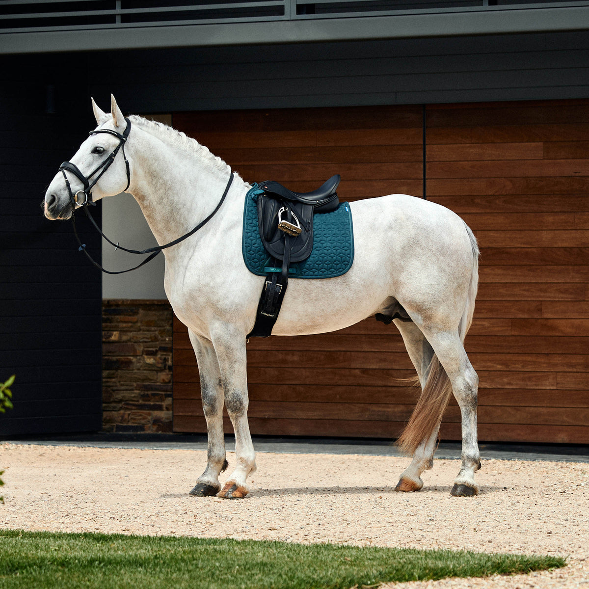 Weatherbeeta Suede Elite Air-Tec Dressage Saddle Pad - 3