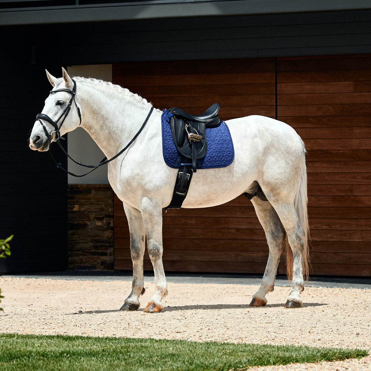 Weatherbeeta Suede Elite Air-Tec Dressage Saddle Pad - 4