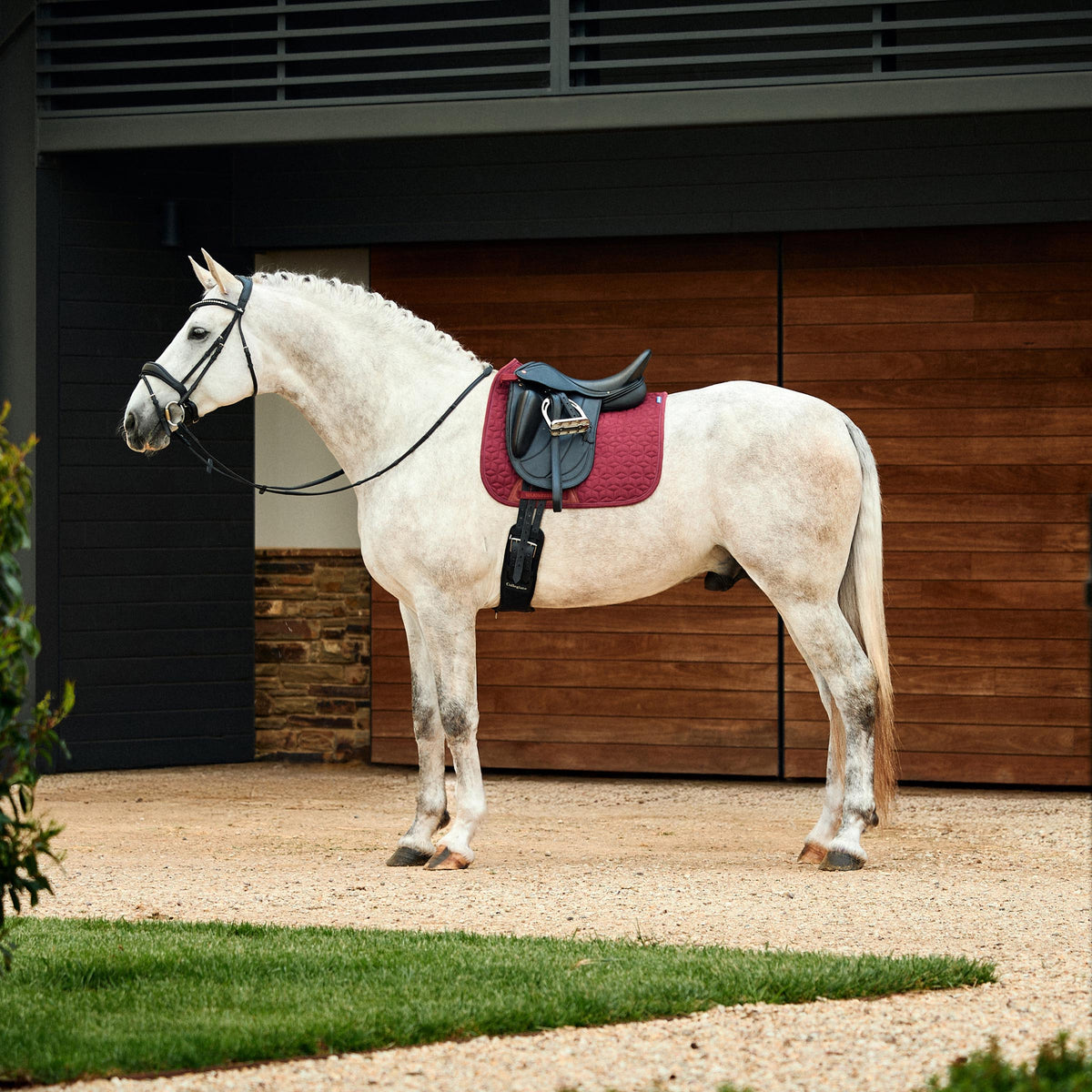 Weatherbeeta Suede Elite Air-Tec Dressage Saddle Pad - 6