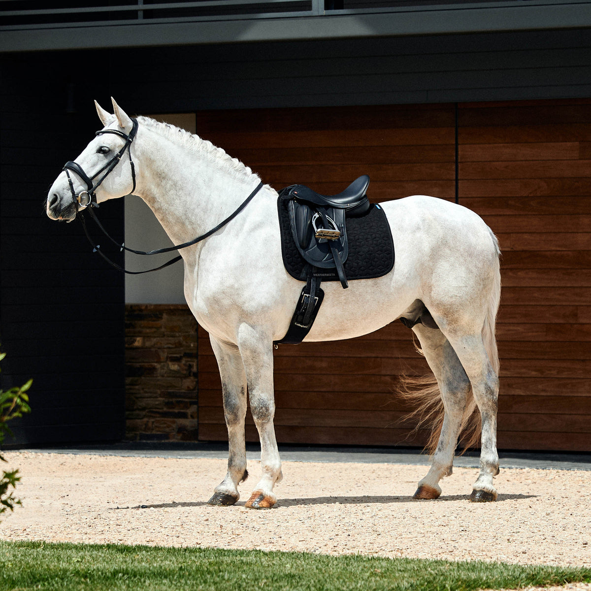 Weatherbeeta Suede Elite Air-Tec Dressage Saddle Pad - 8