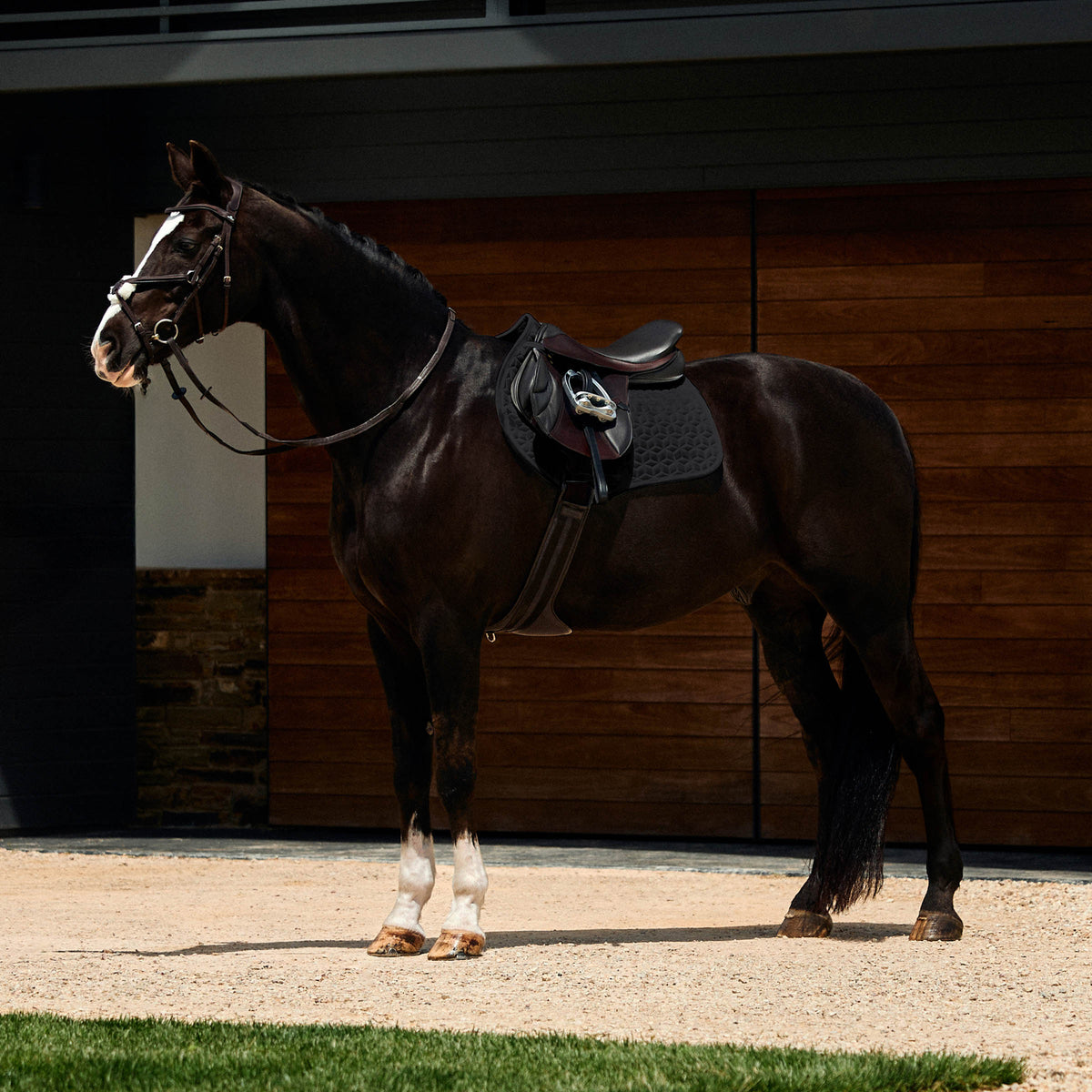 Weatherbeeta Suede Elite Air-Tec Jump Saddle Pad - 3