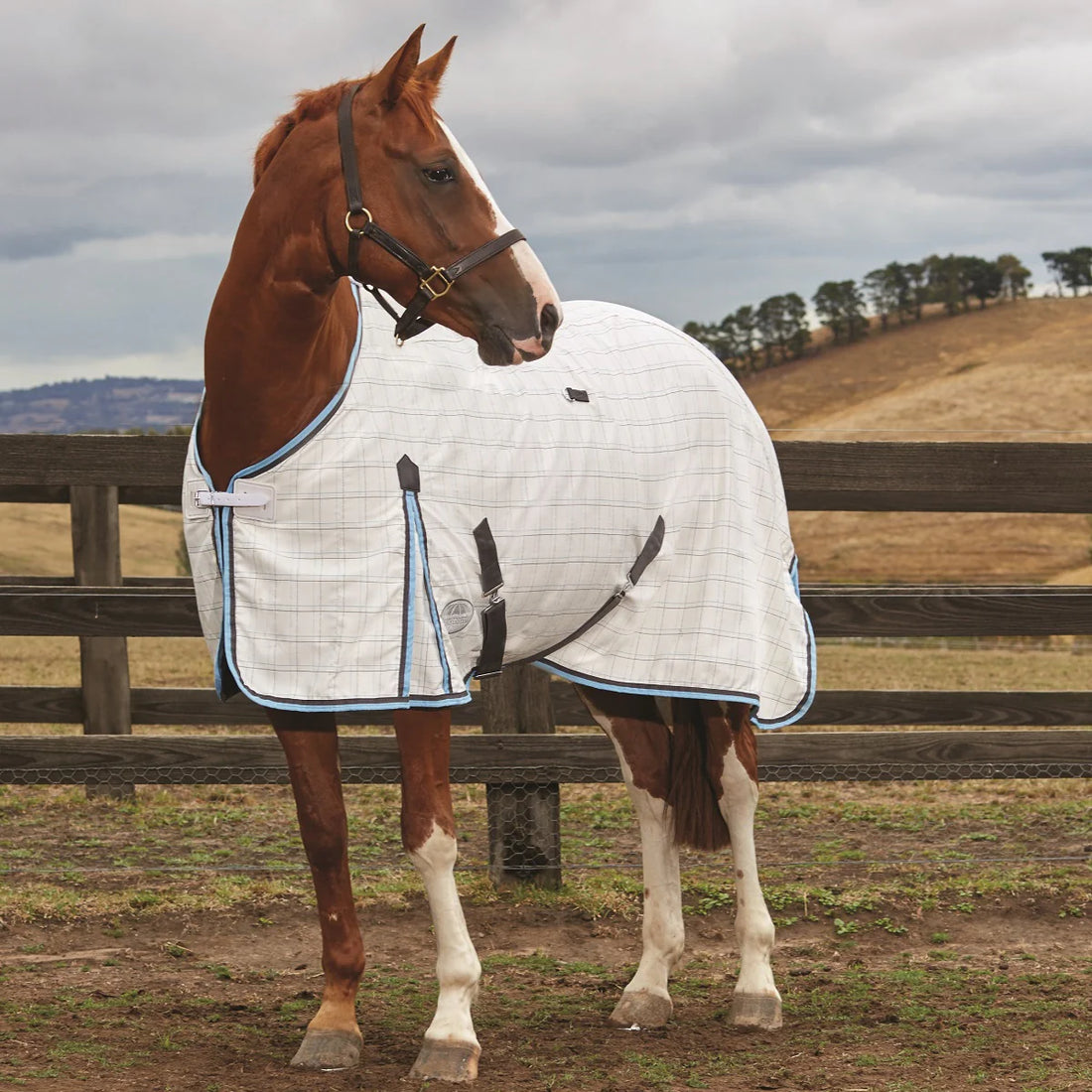 Weatherbeeta Summer Cotton Sheet Standard Neck - 2