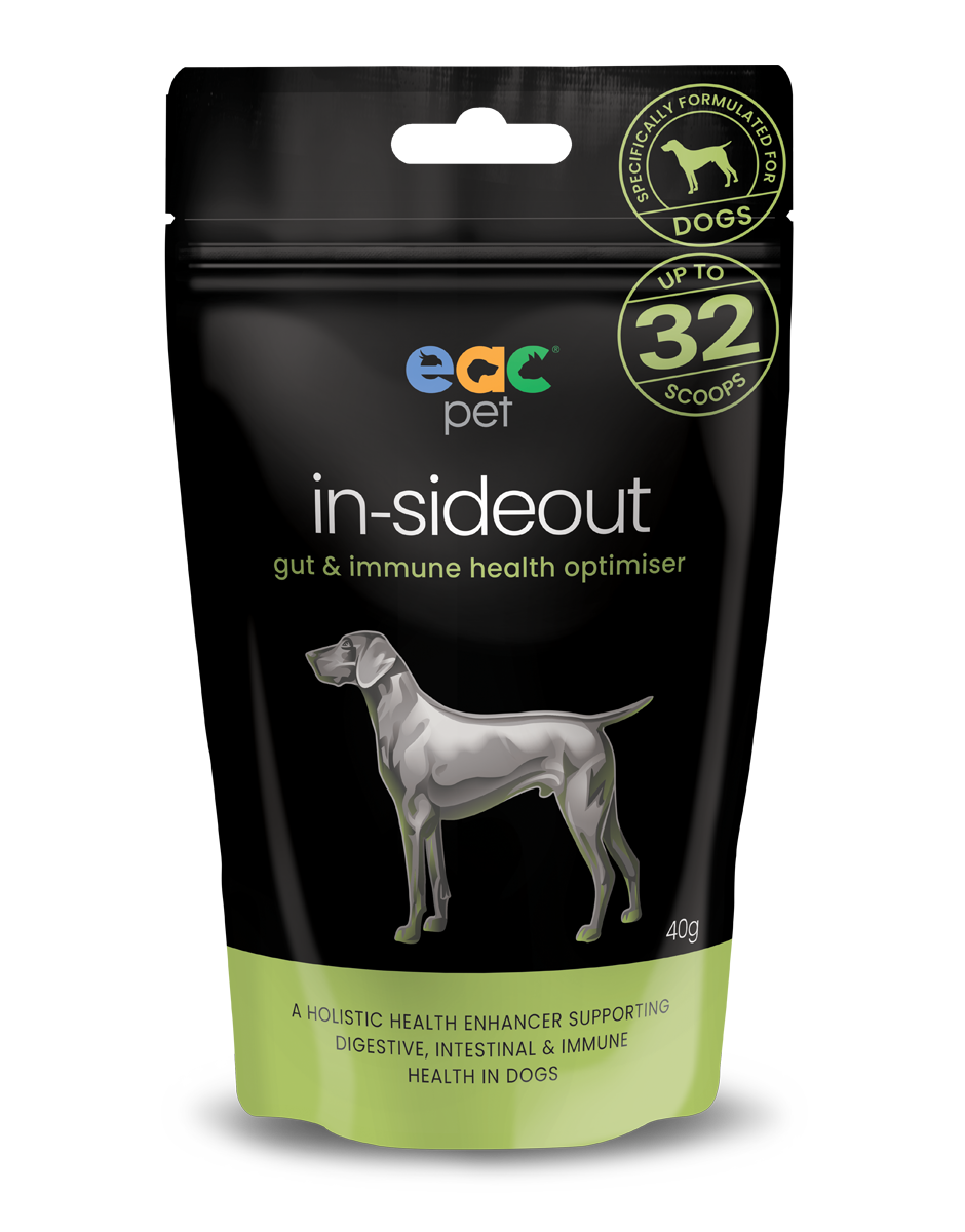 in-sideout Dog 40g
