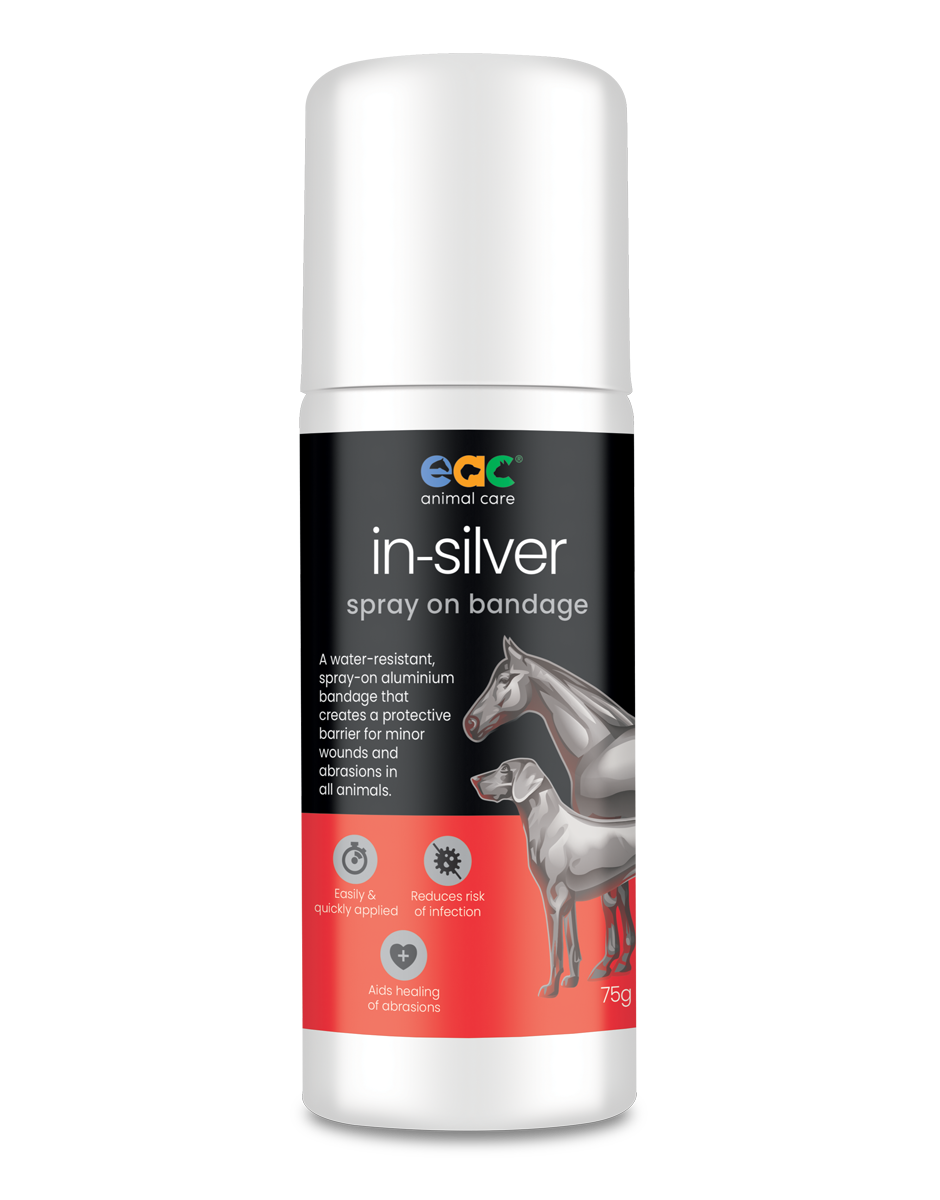 EAC In-Silver Spray On Bandage 75g
