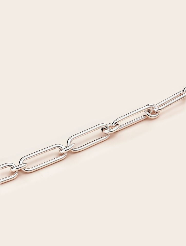 Whistle &amp; Pop High Country Chunky Gate Chain Necklace