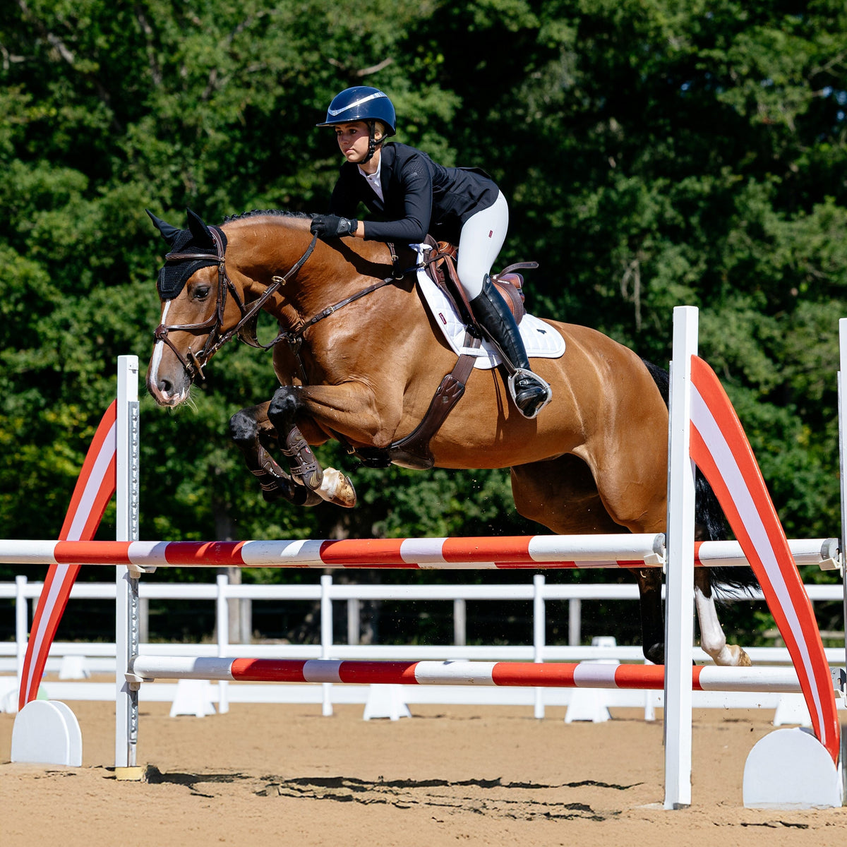 LeMieux Loire Classic Close Contact Square White lifestyle