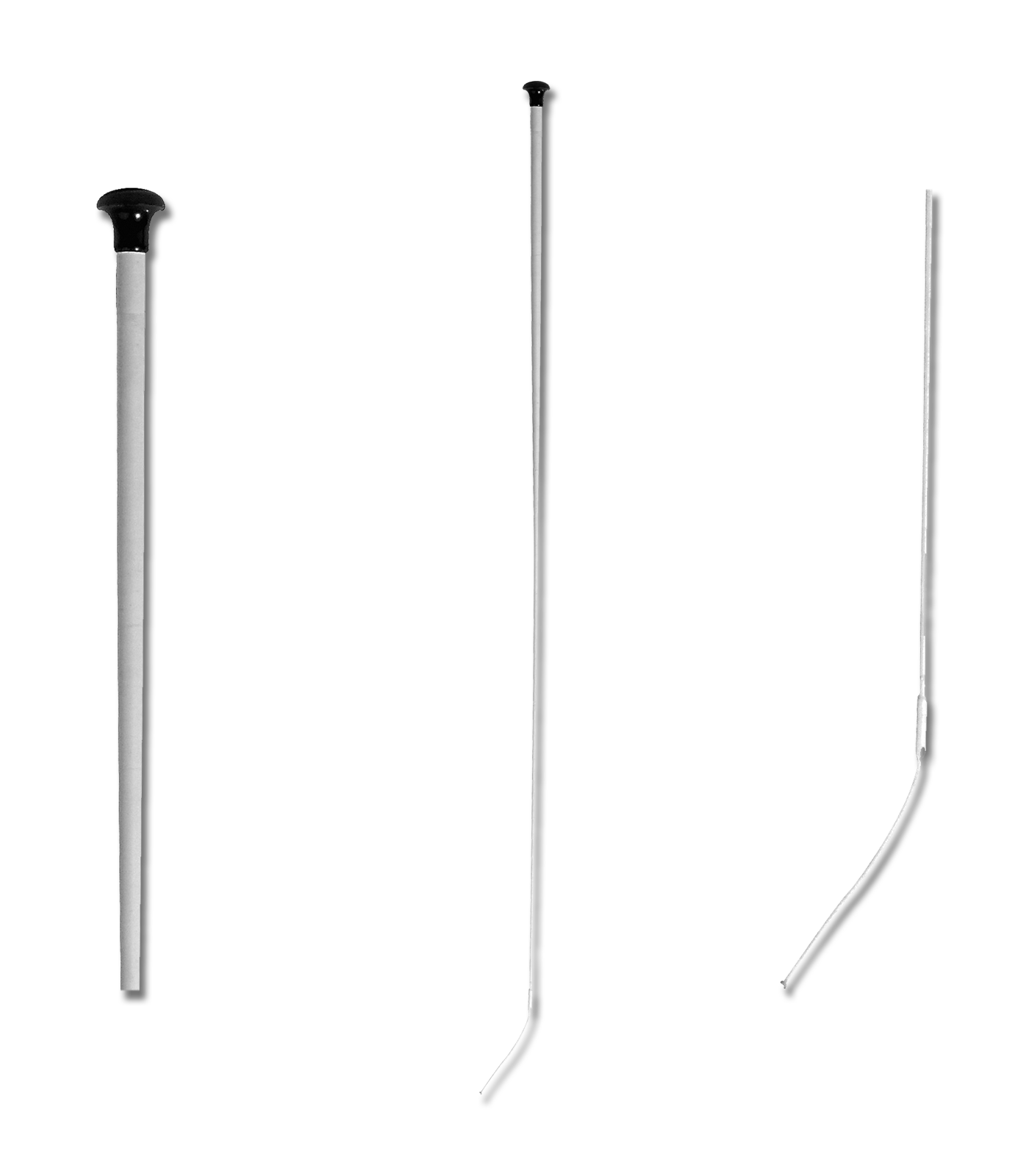 Waldhausen Whip Linda Tellington Jones