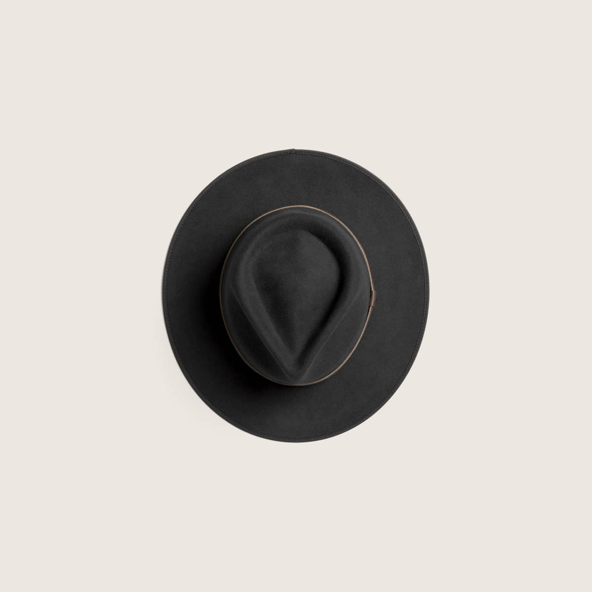 Will &amp; Bear Calloway Felt Fedora - Black Top