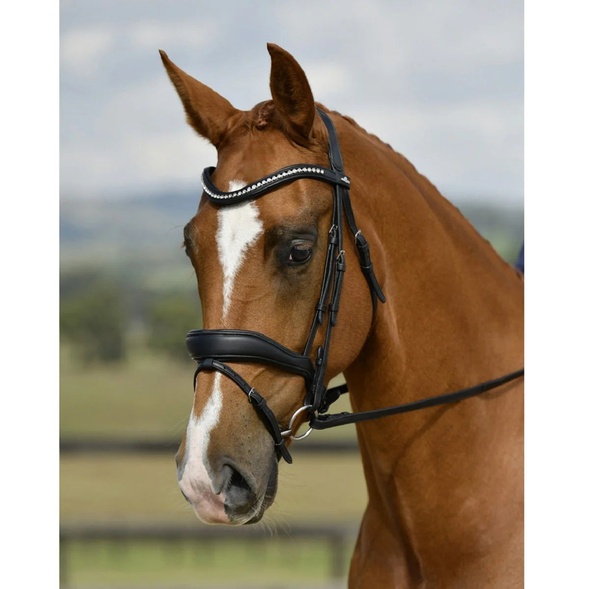 Collegiate Comfitec Opulux Padded Dressage Bridle