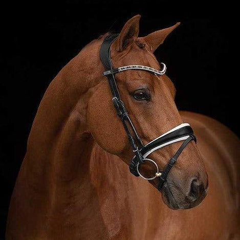 PS of Sweden Bridle GP
