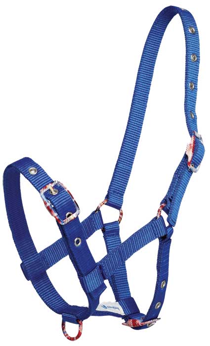 Zilco Fancy Buckle Foal Halter