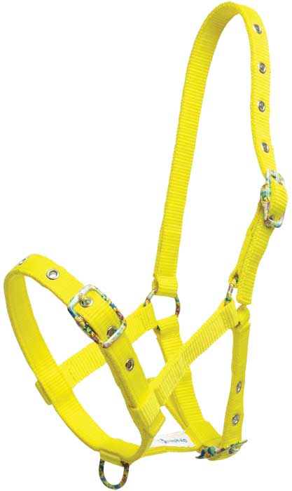 Zilco Fancy Buckle Foal Halter