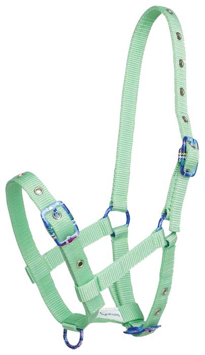 Zilco Fancy Buckle Foal Halter