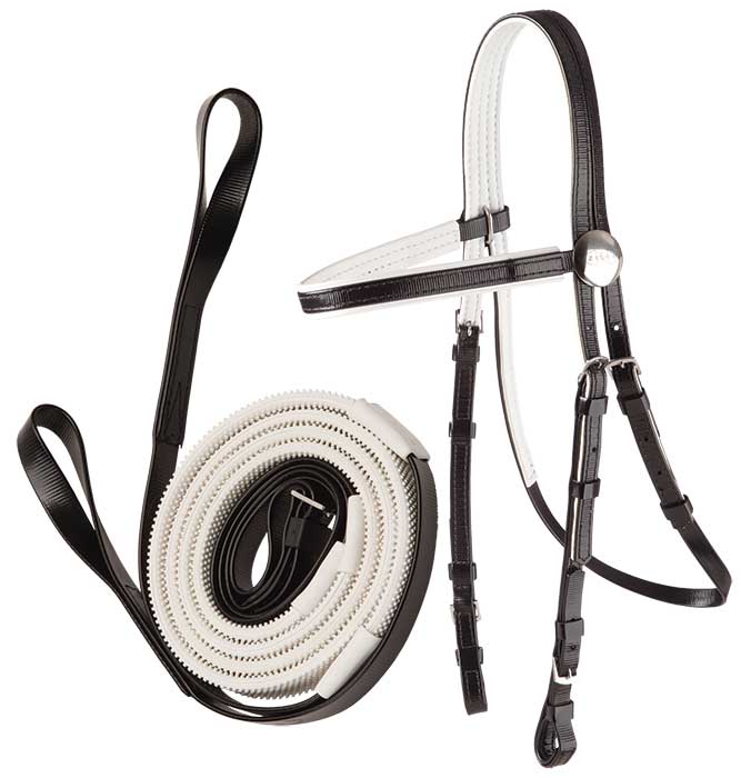 Zilco Race Bridle &amp; Loop End Reins