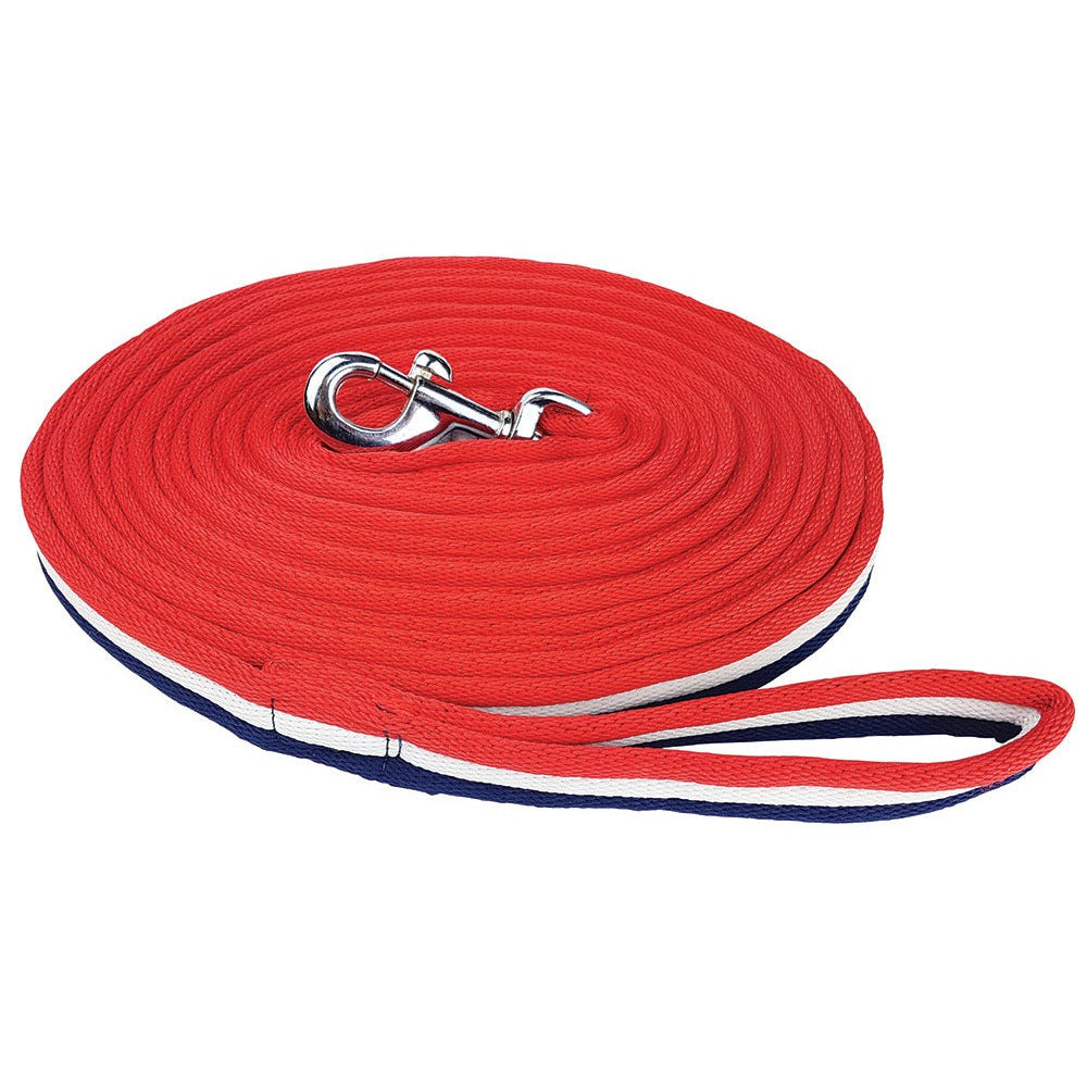 Zilco Brite Lunge Lead - 2