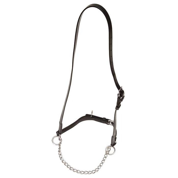 Zilco Chain Nose Pole Halter
