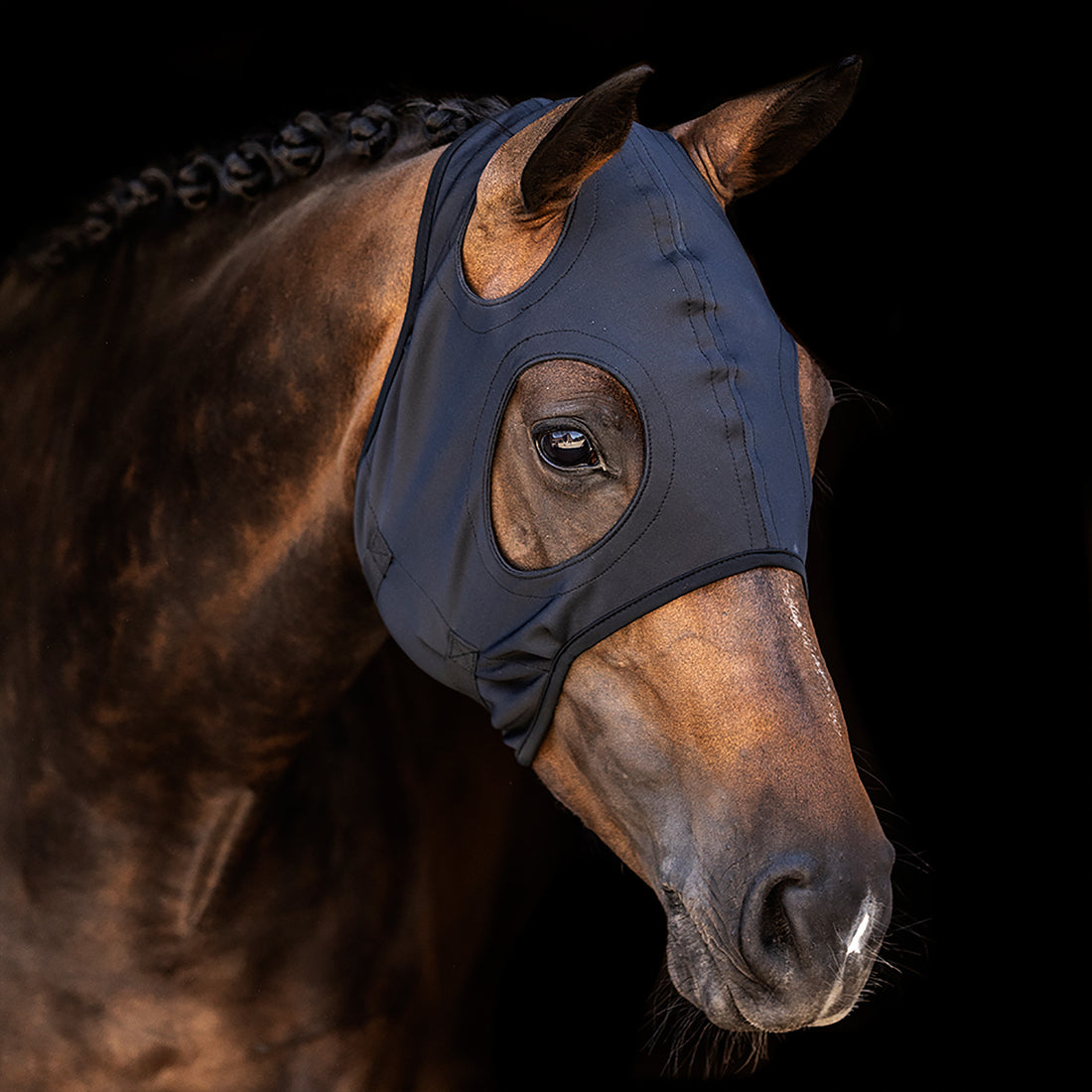 Zilco Come Best Titanium Hoods - 2
