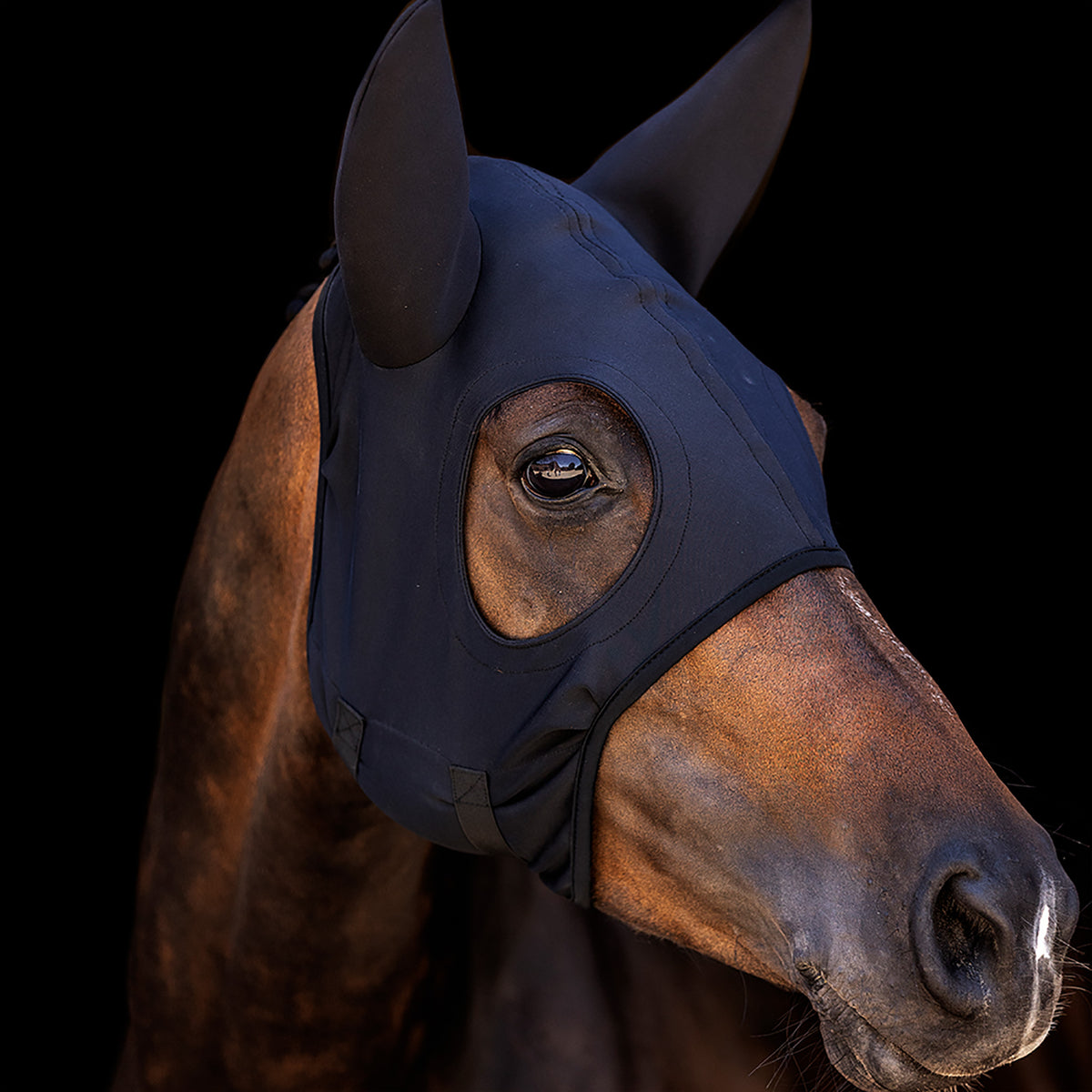 Zilco Come Best Titanium Hoods with Ears - 2