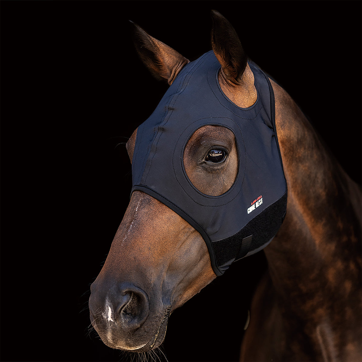Zilco Come Best Titanium Hoods