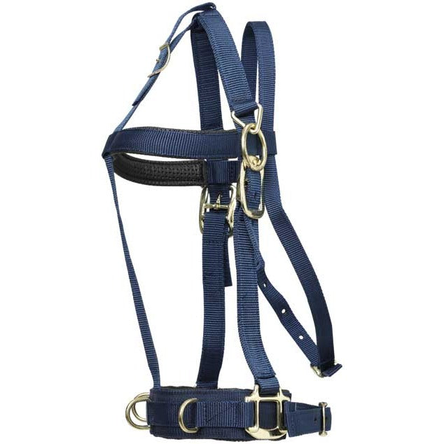 Zilco Deluxe Lunge Halter
