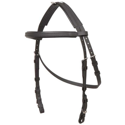 Zilco Hackamore Bridle - 2